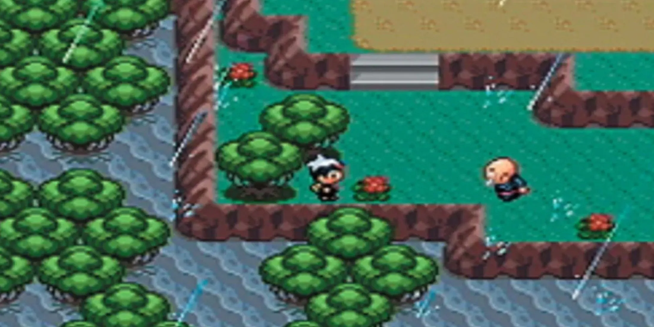 Pokemon Ruby gameplay