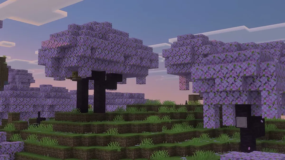 Cherry Blossom Grove illuminated by real-time directional shadows in Minecraft Vibrant Visuals on Nintendo Switch 2