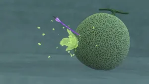 Nintendo Switch Sports Resort Archery all 12 Secret Targets locations guide