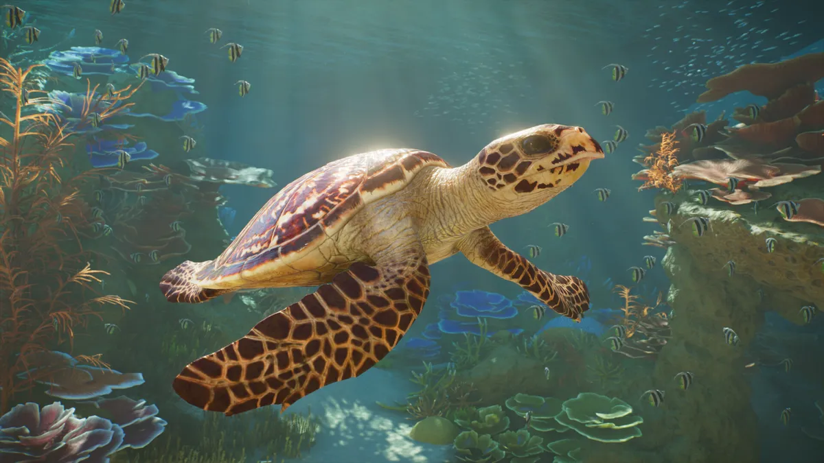 Hawksbill sea turtle swimming in Planet Zoo 2 aquarium habitat