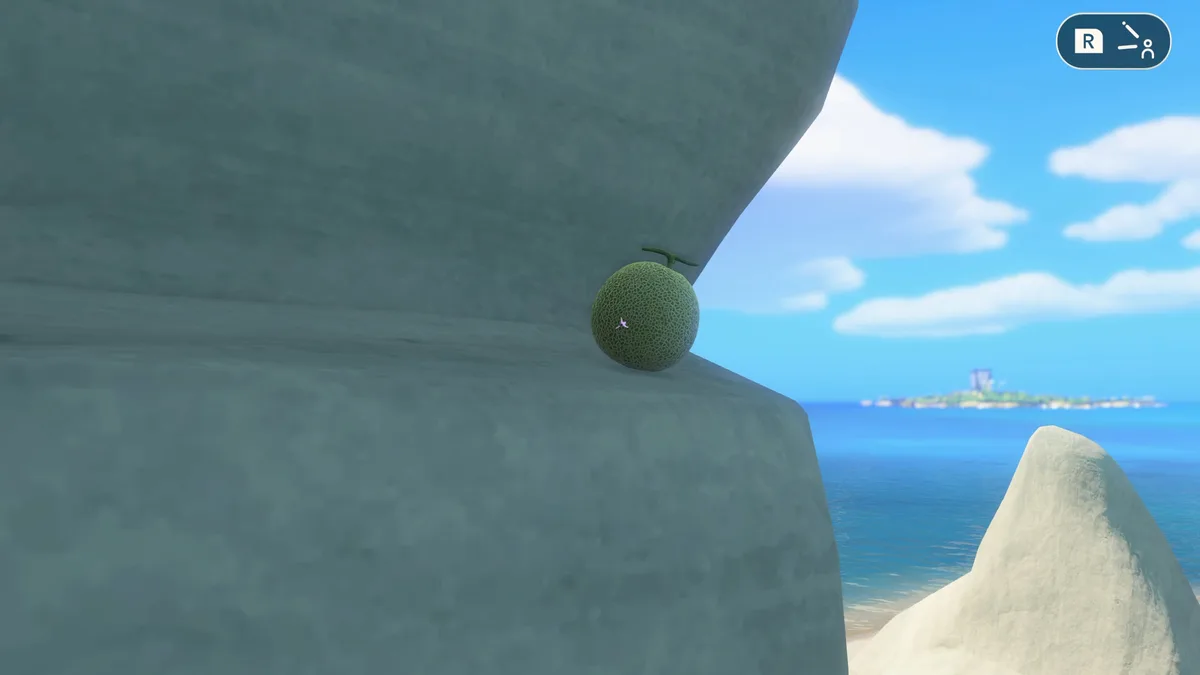 Nintendo Switch Sports Resort Archery Beach C secret target location