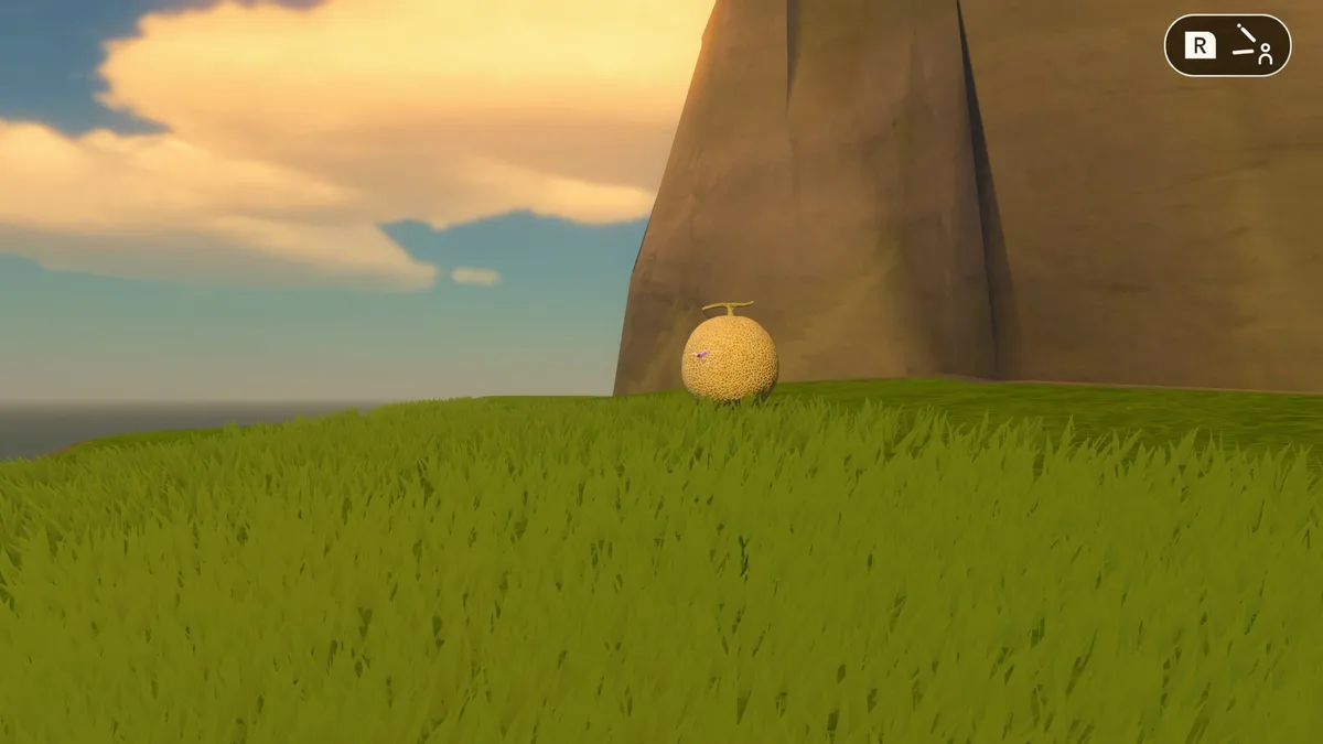 Nintendo Switch Sports Resort Archery Plains B secret target location